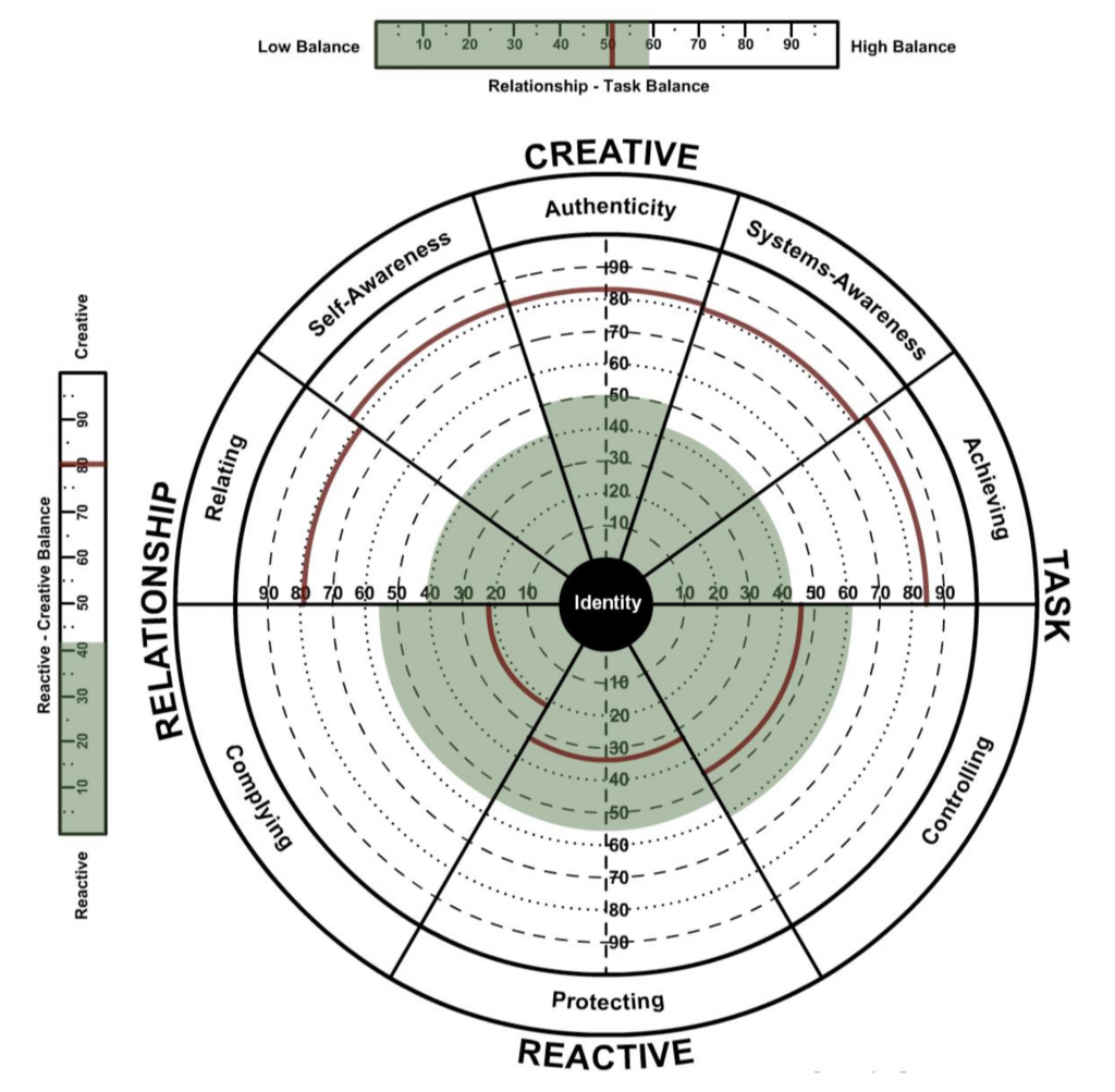 The Leadership Circle