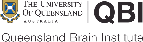 queensland brain institute