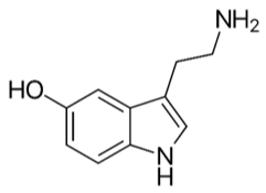 Serotonin molecule